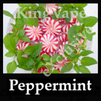 Peppermint 10ml NICOTINE FREE